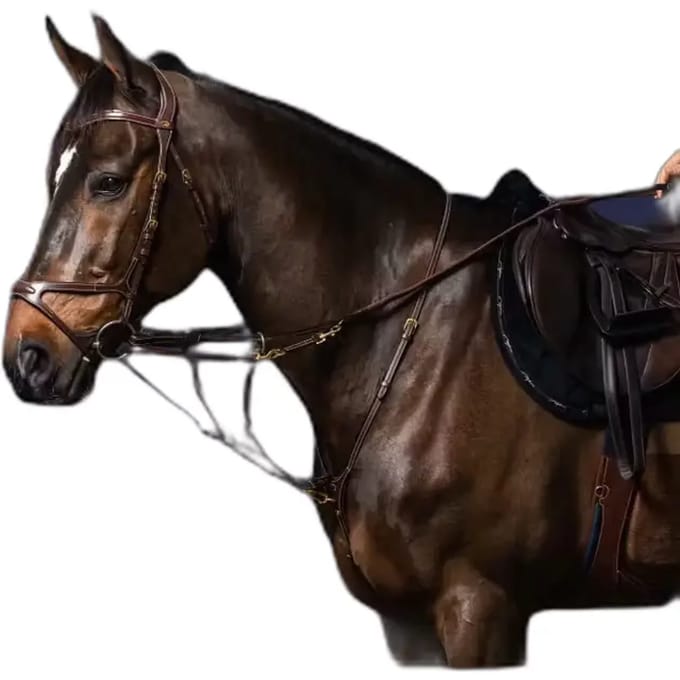 Howlett bevestiging Bruin Pony