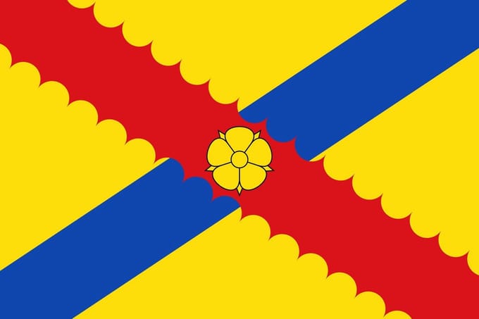 Vlag Hensies 100x150cm