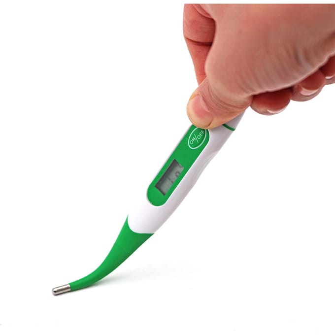 Thermomètre pour animaux thermomètre à affichage LED numérique lecture rapide précis étanche pour animaux de compagnie numérique vert