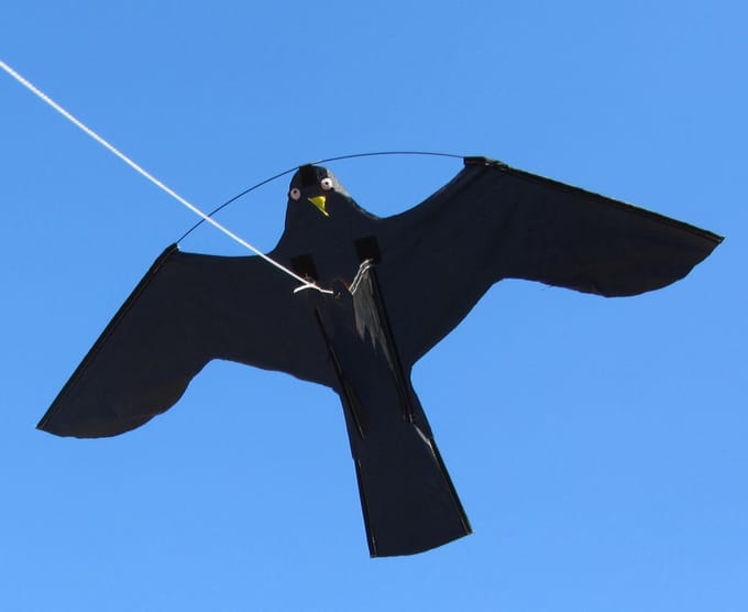 Bird Shield Losse zwarte havik vlieger