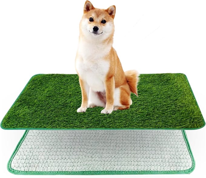 Hondentoilet kunstgras - Zindelijkheidstraining hond - Geurafstotend - Dieren training