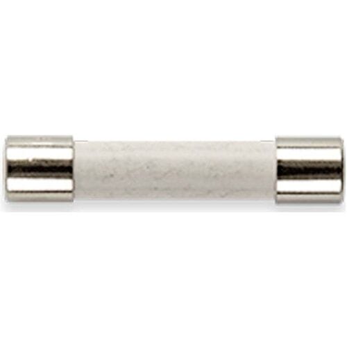 Gossen Metrawatt Z109O FF 1 A/1000 V Zekeringen 10 stuk(s)