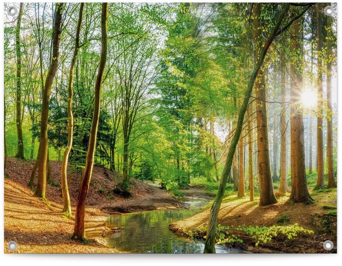 Tuinposter Lentebos - 60 x 80 - Canvas - REINDERS