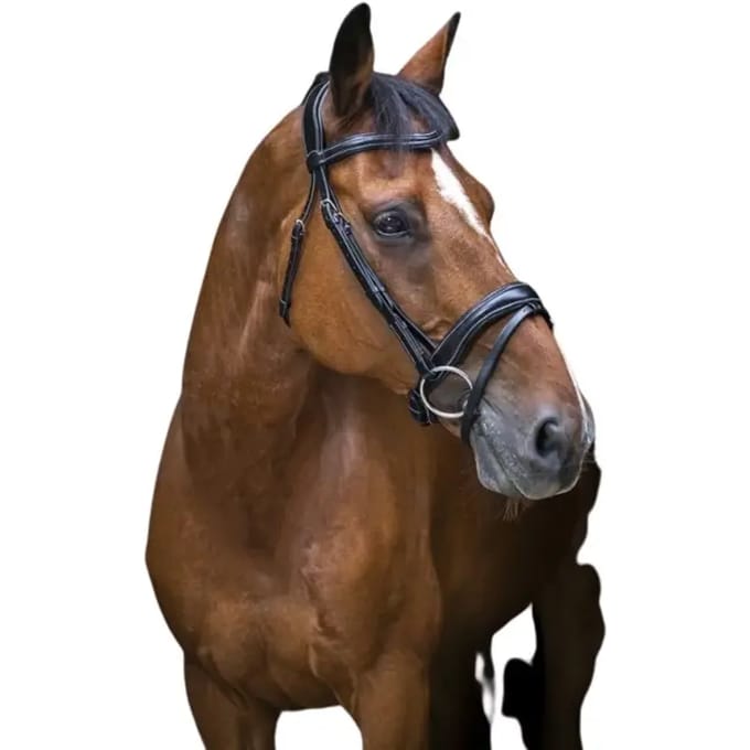 Hoofdstellen voor volbloedpaarden Eric Thomas Pro Wave