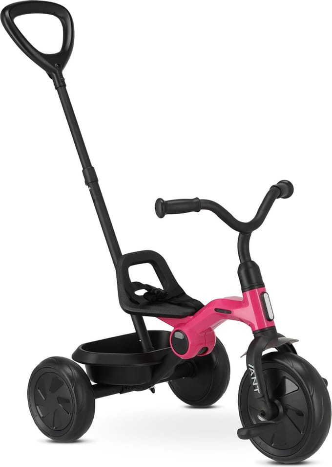Qplay Ant Driewieler met duwstang - Roze