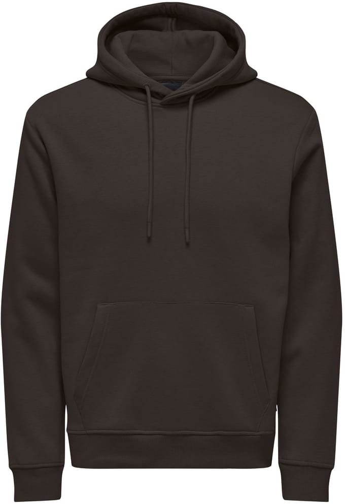 ONLY&SONS - ONSCONNOR LIFE REG SWEAT HOODIE NOOS - Heren - Sweaters