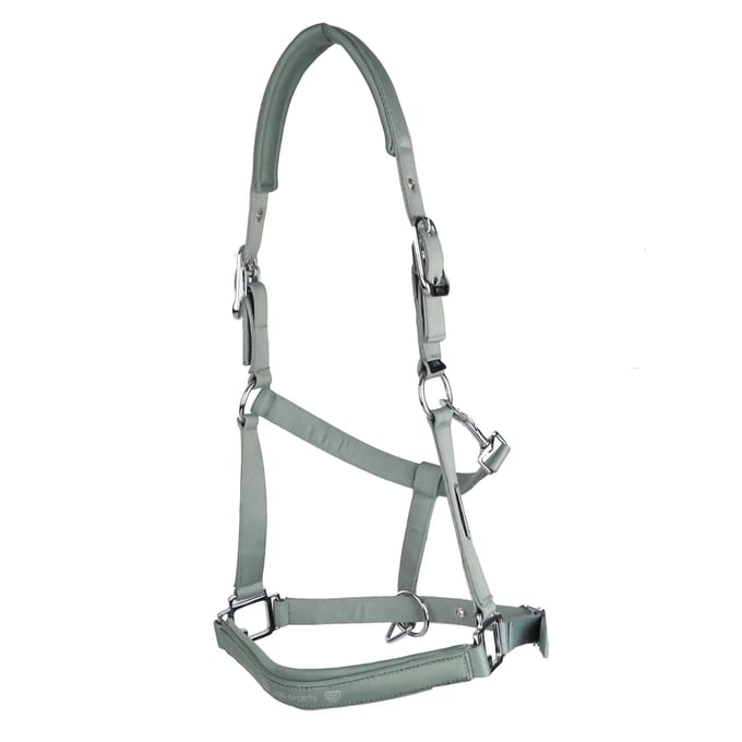 Halster voor paarden USG Shiny