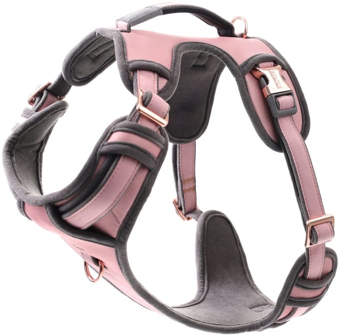 Rogz Urban Explore Tuig Roze Blos - Hondenharnas - Xl