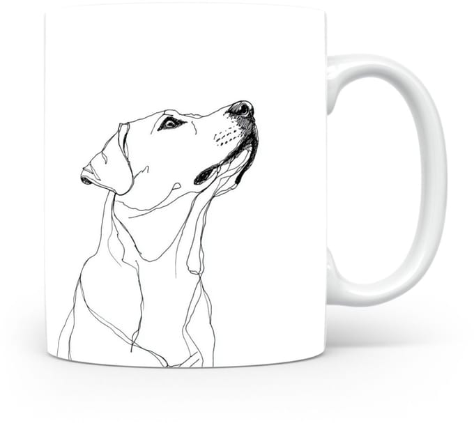 Beker Labrador Retriever