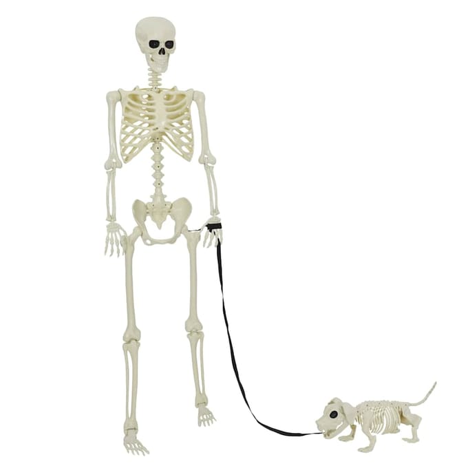 vidaXL - Halloween - Decoratie - Skelet - 2 - st - Wit - 155 - x - 38.5 - cm - Polypropyleen
