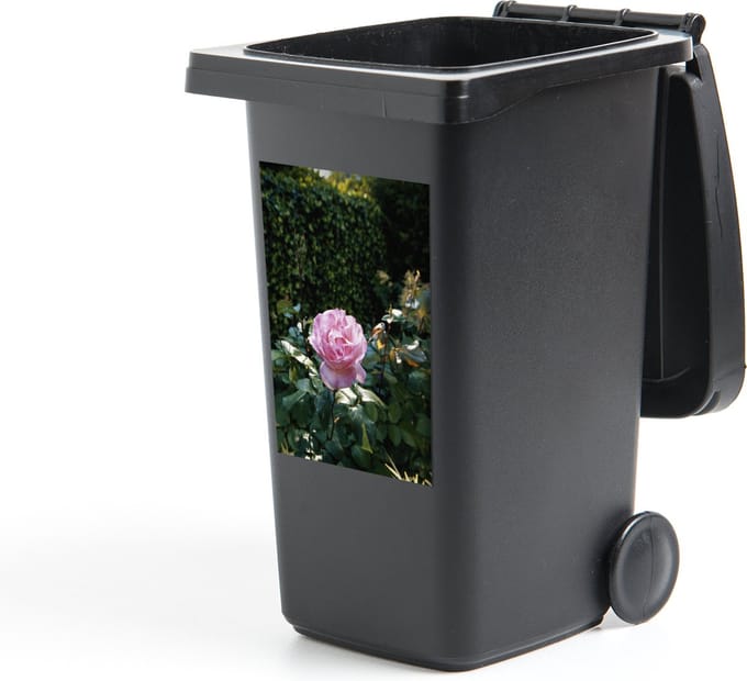 Container sticker Roos - Roze - Tuin - 40x60 cm - Kliko sticker