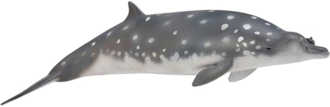 COLLECTA Figurine - Spitssnuitdolfijn - (L)