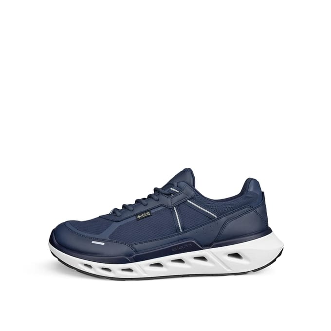 Sneakers Ecco Biom 720 GTX