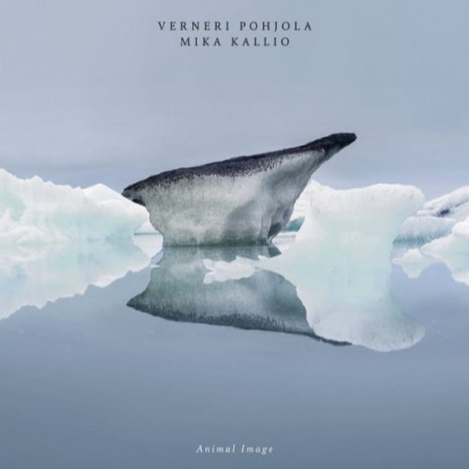 Animal Image - Verneri Pohjola