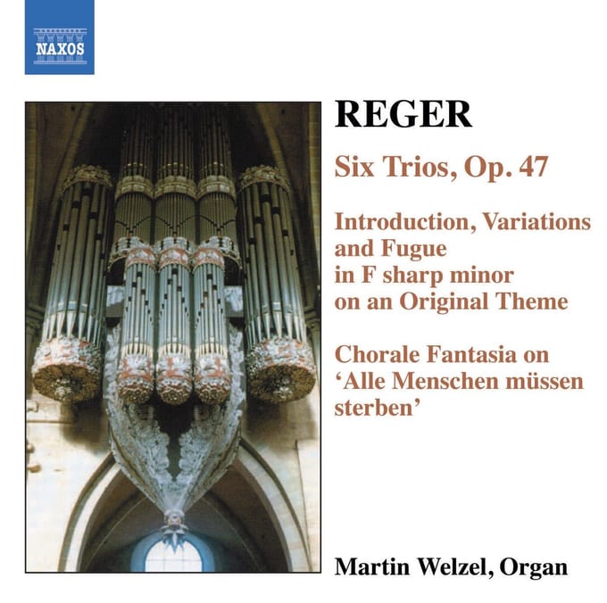 Martin Welzel - Reger: Organ Works Volume 6 (CD)