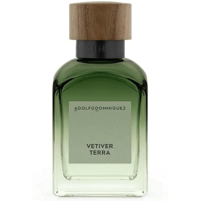 Adolfo Dominguez Vetiver Terra eau de parfum 120 ml voor heren gray