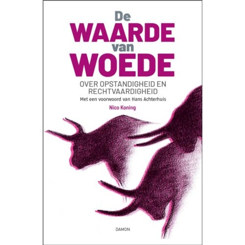De Waarde Van Woede - Nico Koning