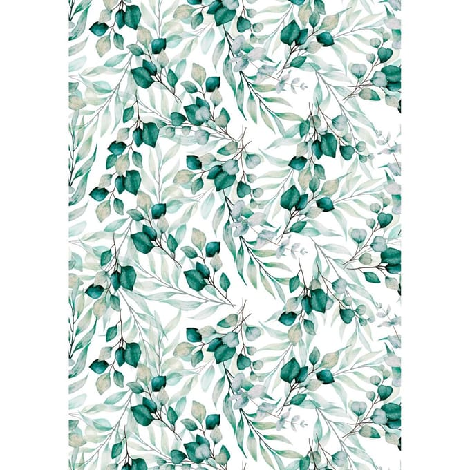 Transparant papier "Eucalyptus"