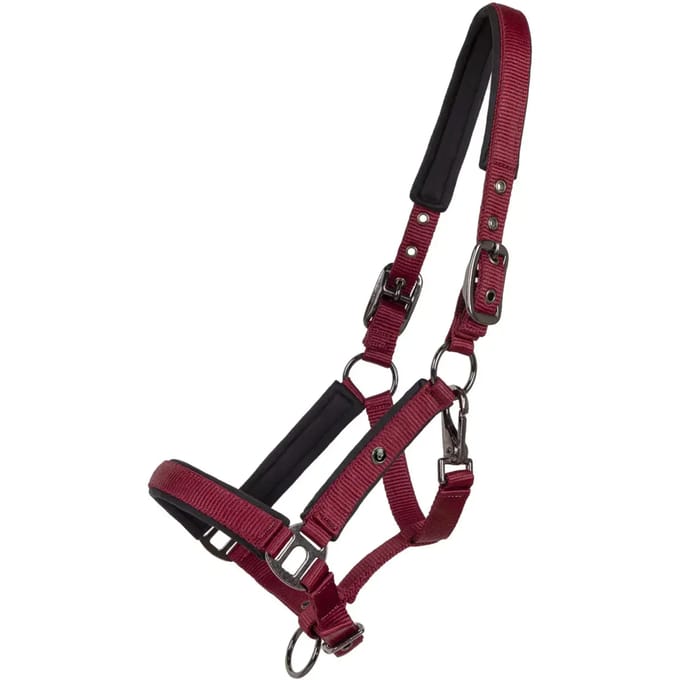 Halster voor veulen QHP Deluxe