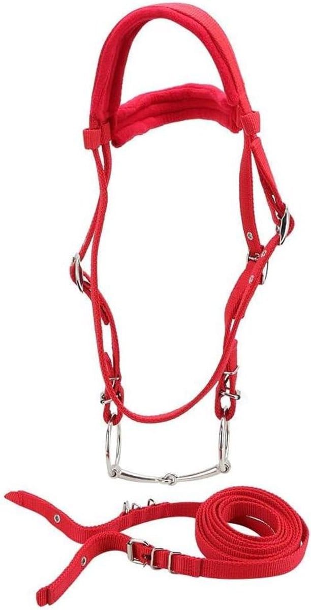 Trenshoofdstel 5MM - Verstelbare hoge dichtheid riem - Zijteugels - Rood