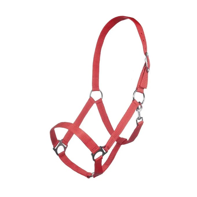 Nylon halster paard HKM Brisbane