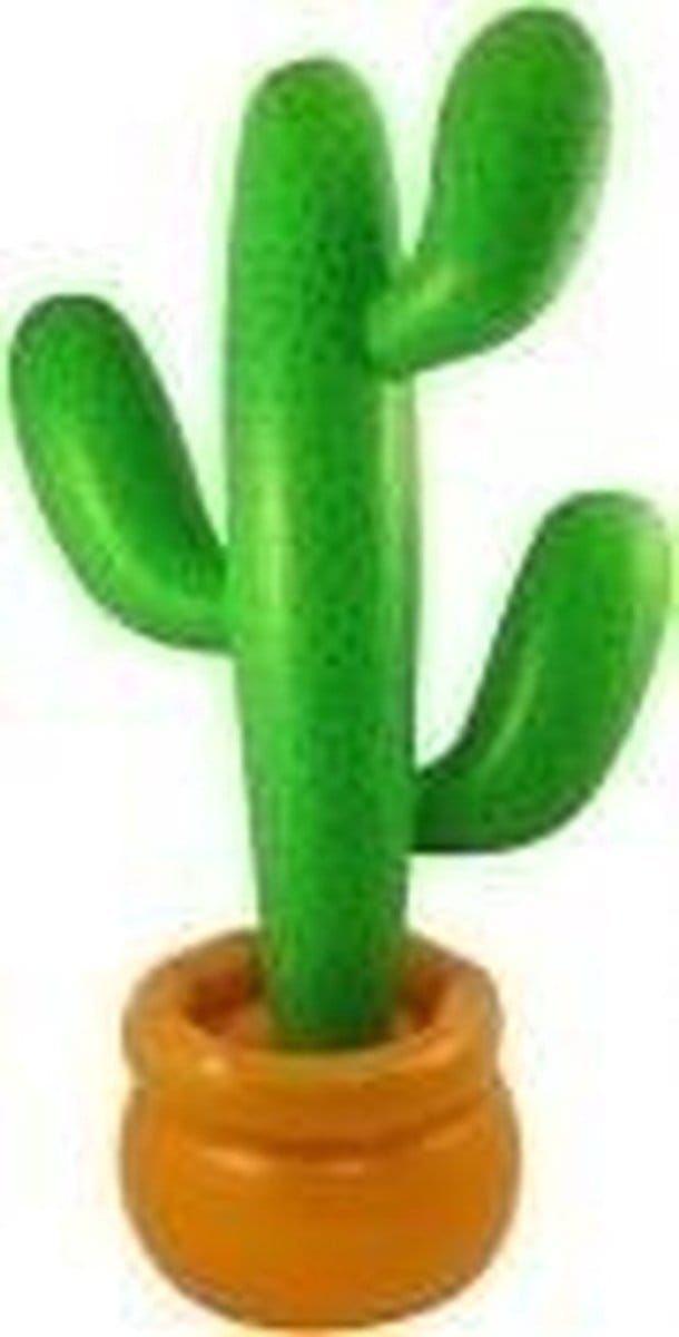 Opblaasbare kaktus 86cm