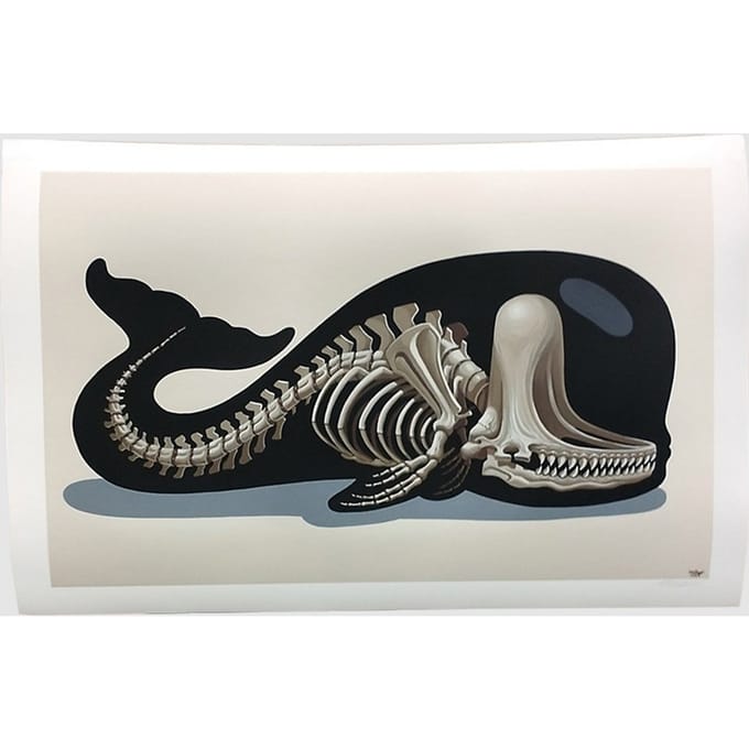 Nychos Sperm Whale Skeleton Fine Kunstdruk patroon
