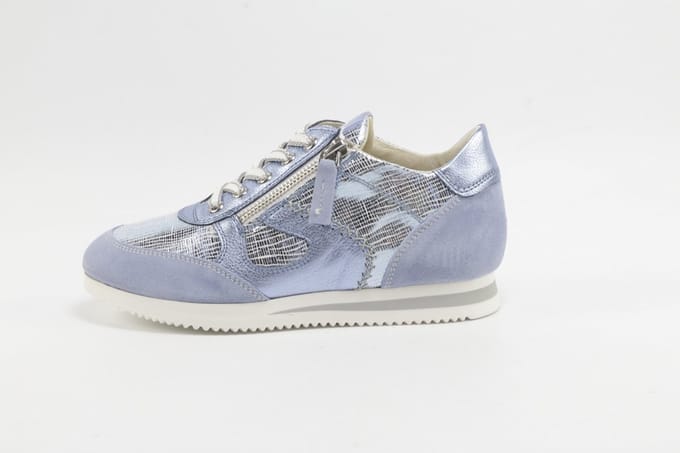 DLSport 6564 versione 09 velour illusion ancona celeste L.BLAUW