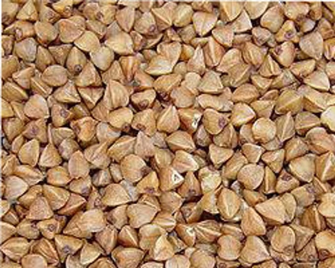 Wielink Boekweit 20KG