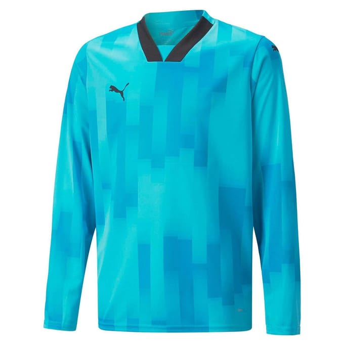Puma Kinder/Jonge kinderen Teamtarget Abstract keeperstrui met lange mouwen (Blauw)