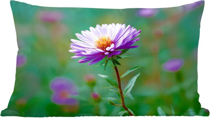 Sierkussens - Kussentjes Woonkamer - 60x40 cm - Aster - Paars - Bloem - Blaadjes