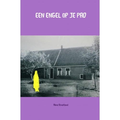 Een Engel Op Je Pad - Adrie Streefland
