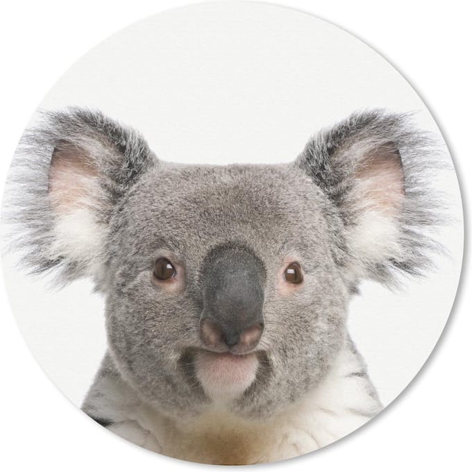 Muismat rond 20x20 cm - Mousepad Dieren - Koala - Wit - Ronde muismatten