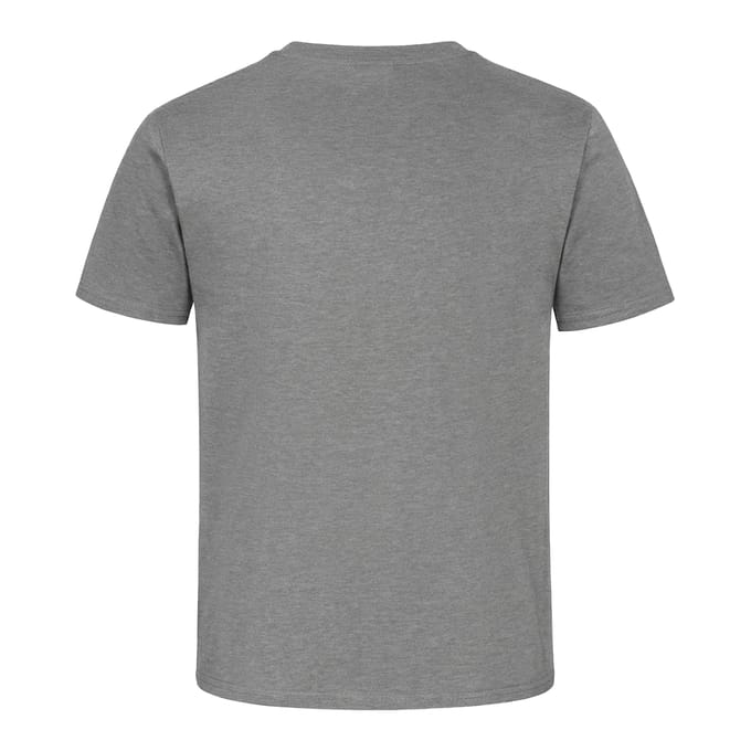 Russell Heren Zwaargewicht T-Shirt (Sport Heide)