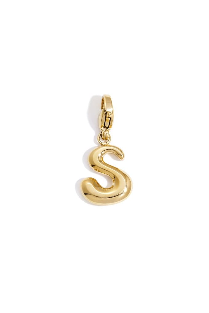 Bedel - letter S - roest vrij staal - sieraad - cadeau tip