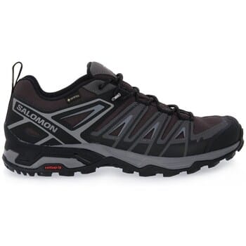 Trail Salomon Ultra Pioneer Gtx