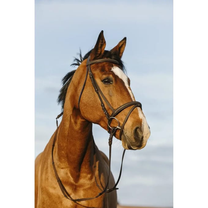 Gecombineerd hoofdstel met neusriem Riding World