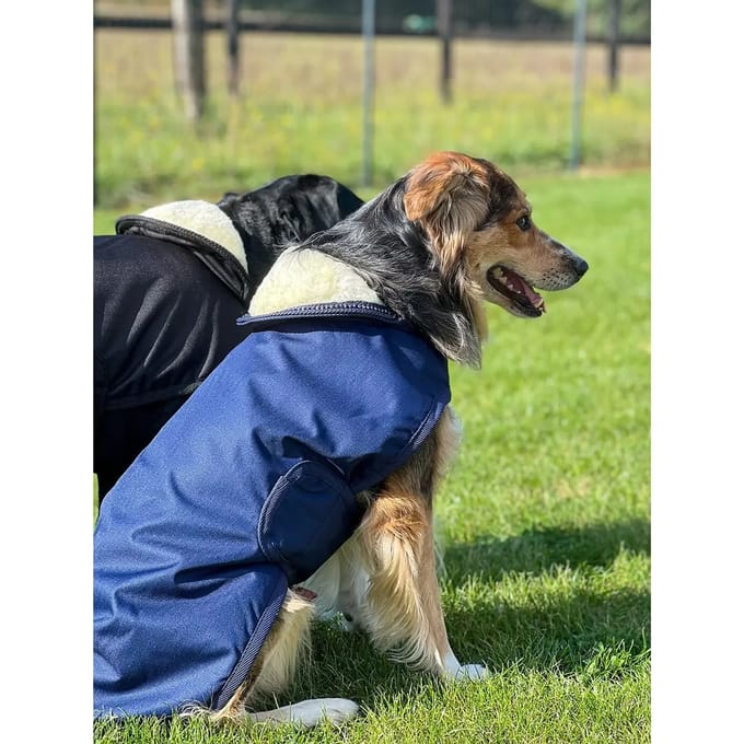 Waterdichte/fleece jas voor honden Flags&Cup Jamsa
