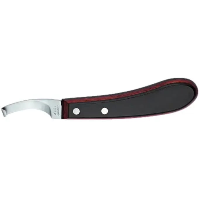 Rénette Met Linker Hak Dick Dick Champion