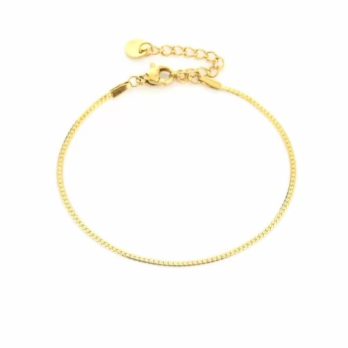 Bijoutheek Armband (Sieraad) Glad (2mm) Goud
