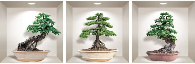 3D bonsai ginseng stickers 30 x 90 cm