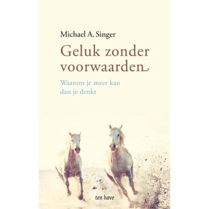 Geluk Zonder Voorwaarden - Michael A. Singer