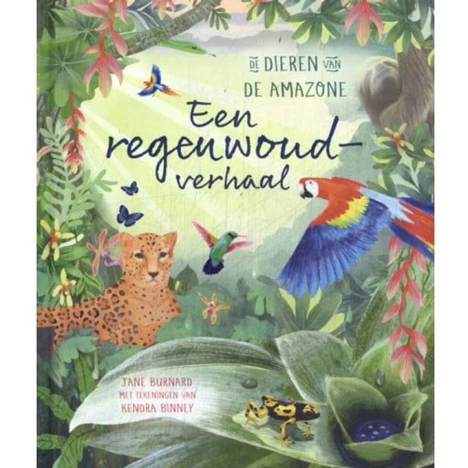 Een Regenwoudverhaal - Jane Burnard