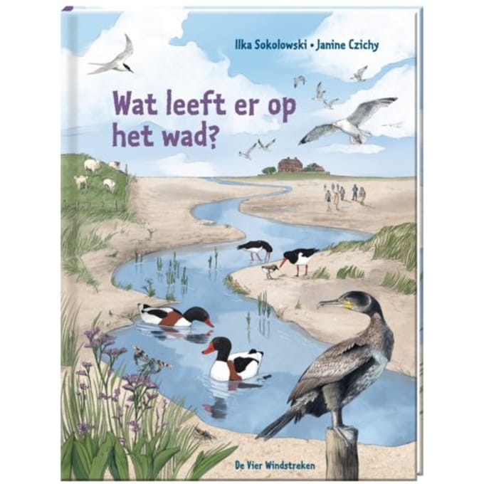 Wat Leeft Er Op Het Wad? - Ilka Sokolowski