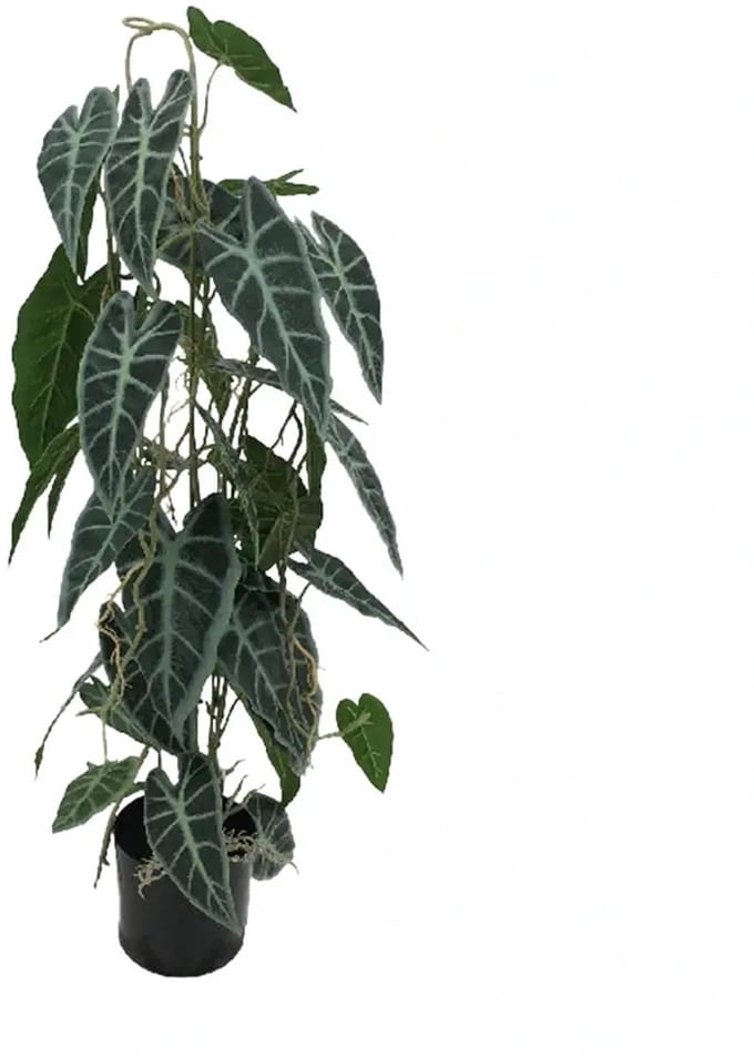 Kunstplant Caladium in Pot - 77 cm