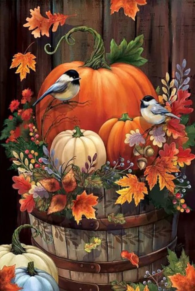 Diamond painting herfst pompoen vogels 30x40cm vierkante steentjes