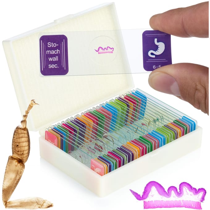 Rosfix Microscooppreparaten Set - 30 Vooraf Gemaakte Glaspreparaten - Glas, 30 Stuks
