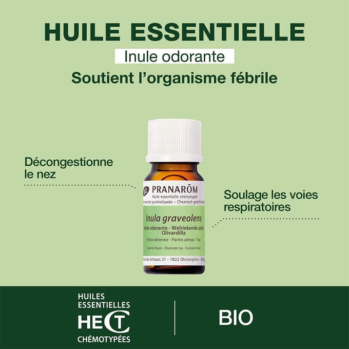 Pranarôm Essentiële Olie Inule Odorante Bio 5 Etherische olie