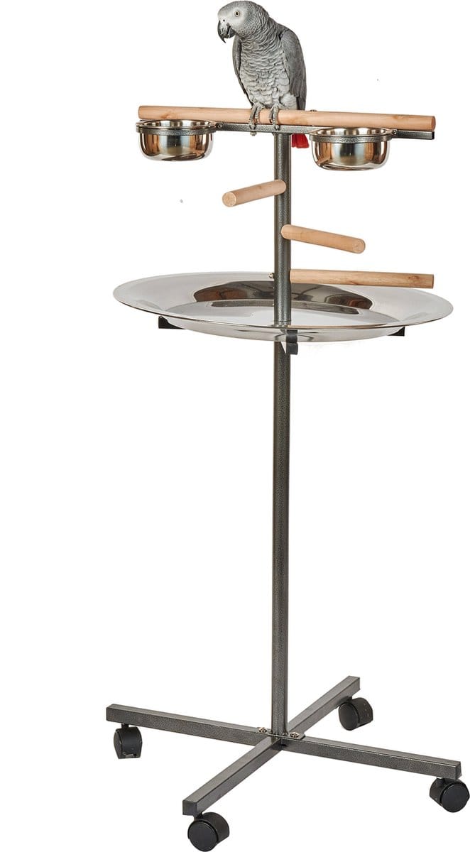 Papegaai / parkieten standaard TBar Medium zwart