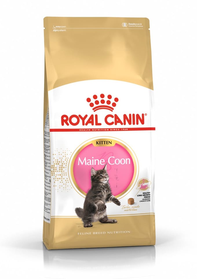 Roya Canin Maine Coon Kitten - Kattenvoer - 2kg